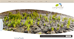 Desktop Screenshot of livingfoods.nl